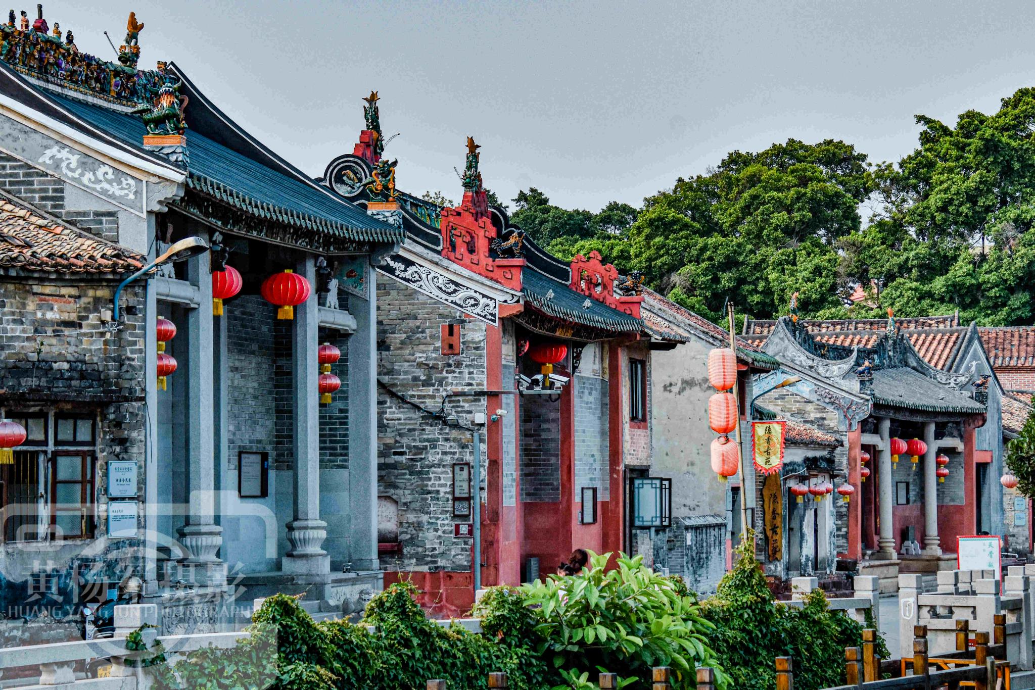 广东最具岭南风格的古村有500年的古树近10棵远离闹市很清幽