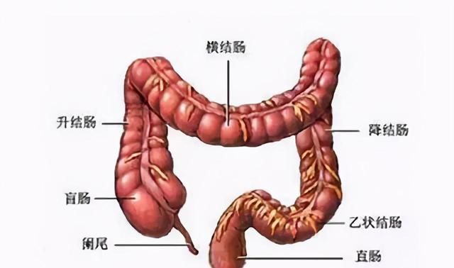 身体出现这几个症状该注意了|结肠炎|结肠|症状_新浪新闻