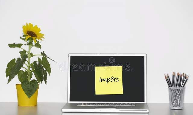 疫情下,是远程办公助手向日葵的“春天”休闲区蓝鸢梦想 - Www.slyday.coM