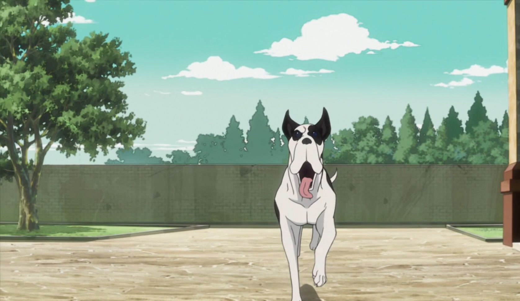 jojo丹尼乔纳森童年最好的玩伴