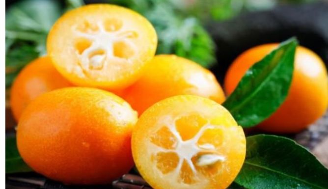 下雨天气降温容易感冒,家里要有的3种发财果,寓意身心同康__财经头条