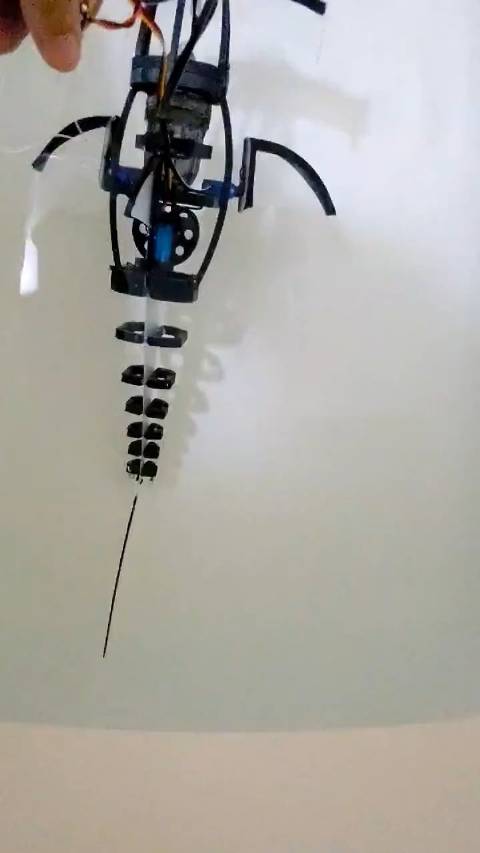 给小伙伴们参考,一条机器人仿生鱼,来自gaga_robot|鱼_新浪新闻
