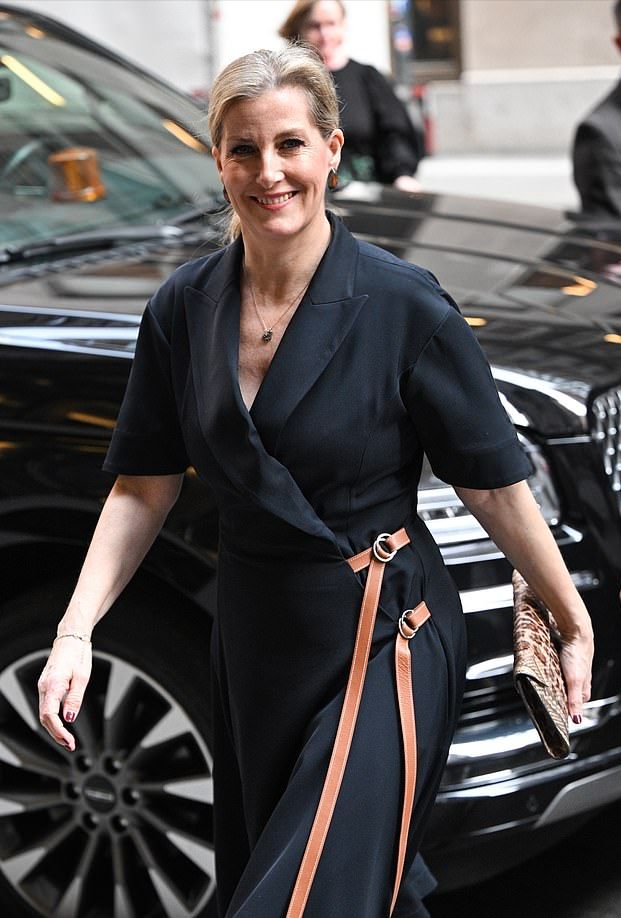 豹纹包|苏菲|王妃_新浪新闻