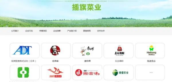 从“土坑酸菜”到“虚拟老公”,这届315毁了多少宅男的美梦?休闲区蓝鸢梦想 - Www.slyday.coM