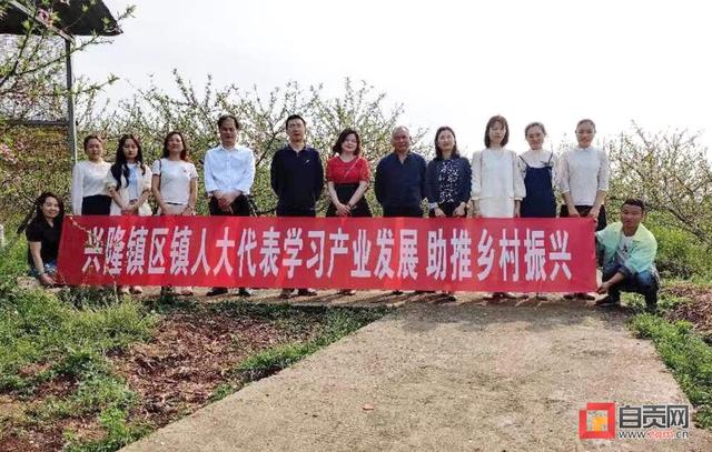 沿滩区兴隆镇区镇人大代表就如何发展集体经济外出取经
