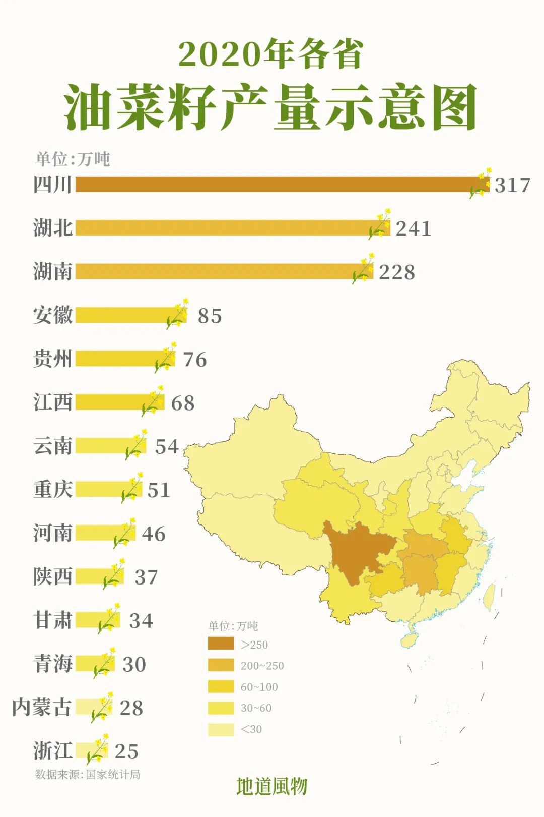 四川是我国油菜籽产量第一大省。 制图/孙璐