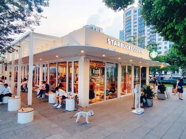 8000家咖啡馆混战上海滩：一边烧钱扩张，一边亏损倒闭休闲区蓝鸢梦想 - Www.slyday.coM