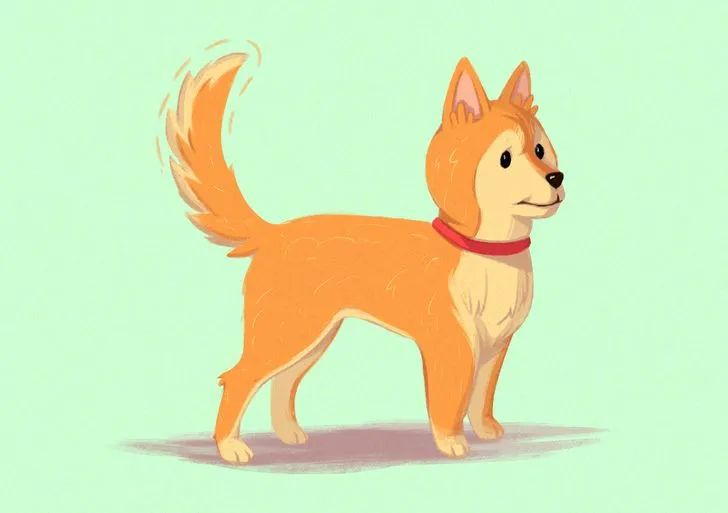 狗狗摇尾巴不一定是开心16个狗狗的小心思你能看懂几个