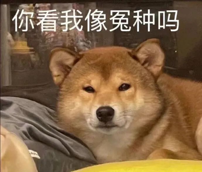 女主播联合男运营，专坑粉丝，无数榜一大哥哭着质问：你爱的到底是不是我哈哈哈哈哈休闲区蓝鸢梦想 - Www.slyday.coM