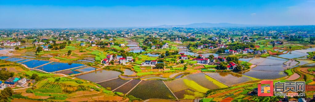 稻粱酿出群众美好生活记全市乡村振兴先进镇富顺县代寺镇