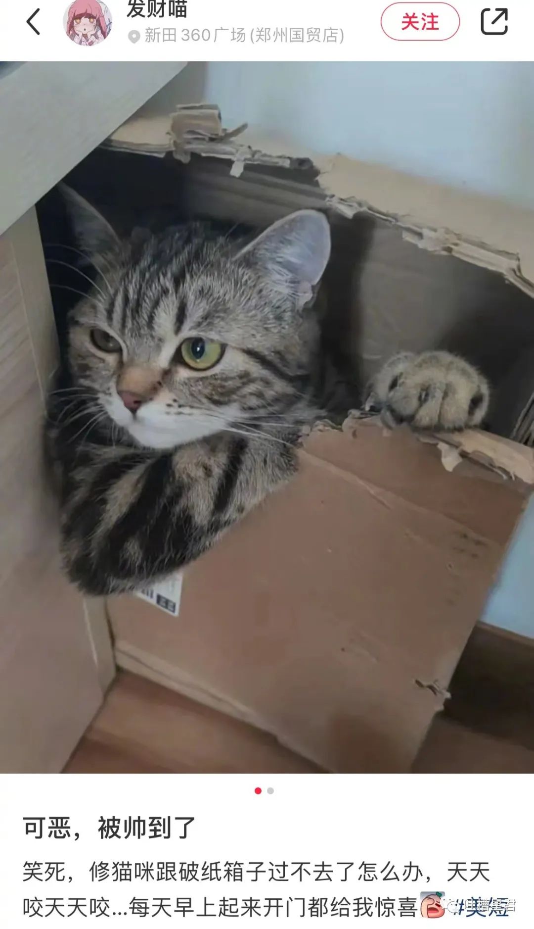 女主播联合男运营，专坑粉丝，无数榜一大哥哭着质问：你爱的到底是不是我哈哈哈哈哈休闲区蓝鸢梦想 - Www.slyday.coM