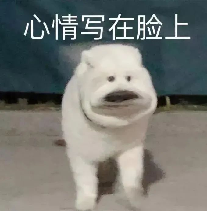 女主播联合男运营，专坑粉丝，无数榜一大哥哭着质问：你爱的到底是不是我哈哈哈哈哈休闲区蓝鸢梦想 - Www.slyday.coM