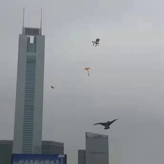 女主播联合男运营，专坑粉丝，无数榜一大哥哭着质问：你爱的到底是不是我哈哈哈哈哈休闲区蓝鸢梦想 - Www.slyday.coM