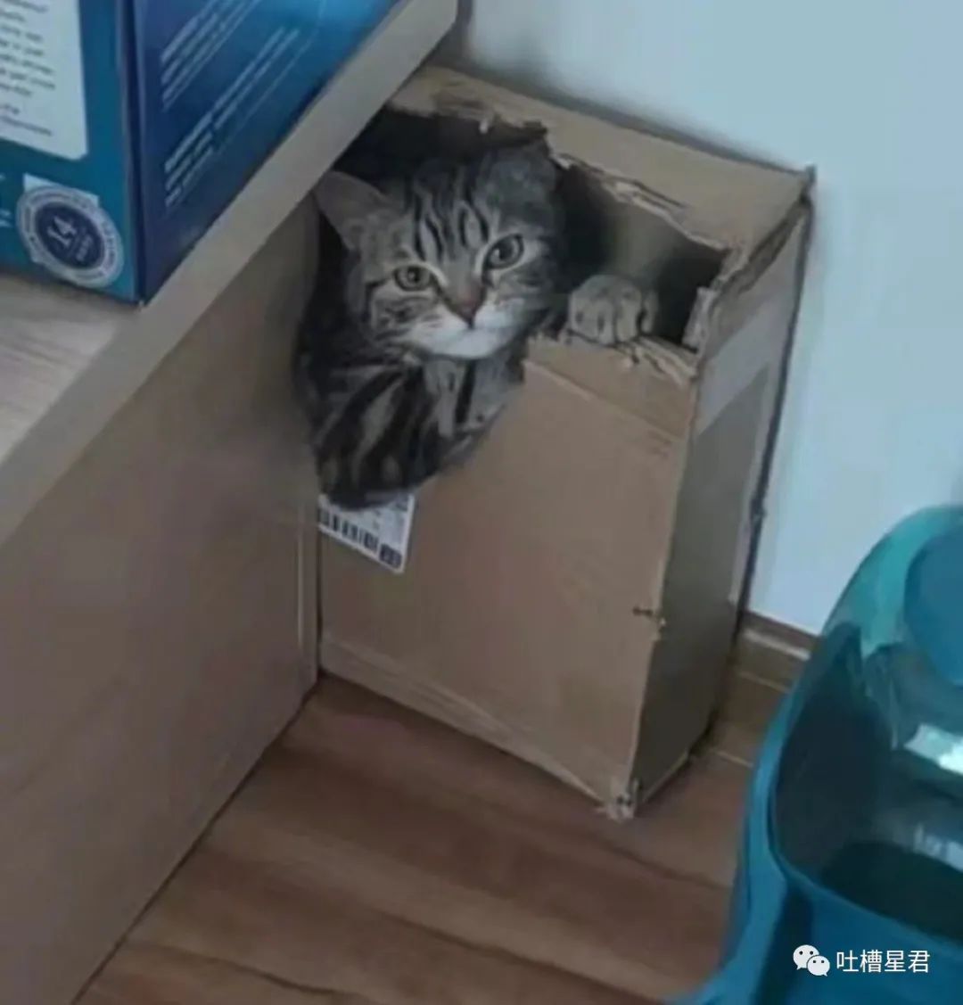 女主播联合男运营，专坑粉丝，无数榜一大哥哭着质问：你爱的到底是不是我哈哈哈哈哈休闲区蓝鸢梦想 - Www.slyday.coM