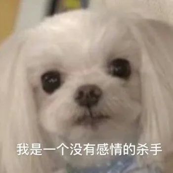 女主播联合男运营，专坑粉丝，无数榜一大哥哭着质问：你爱的到底是不是我哈哈哈哈哈休闲区蓝鸢梦想 - Www.slyday.coM