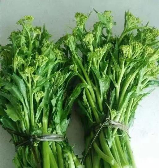 云南地道特色"冲菜",味道比芥末还要上头,上桌就抢着吃__财经头条