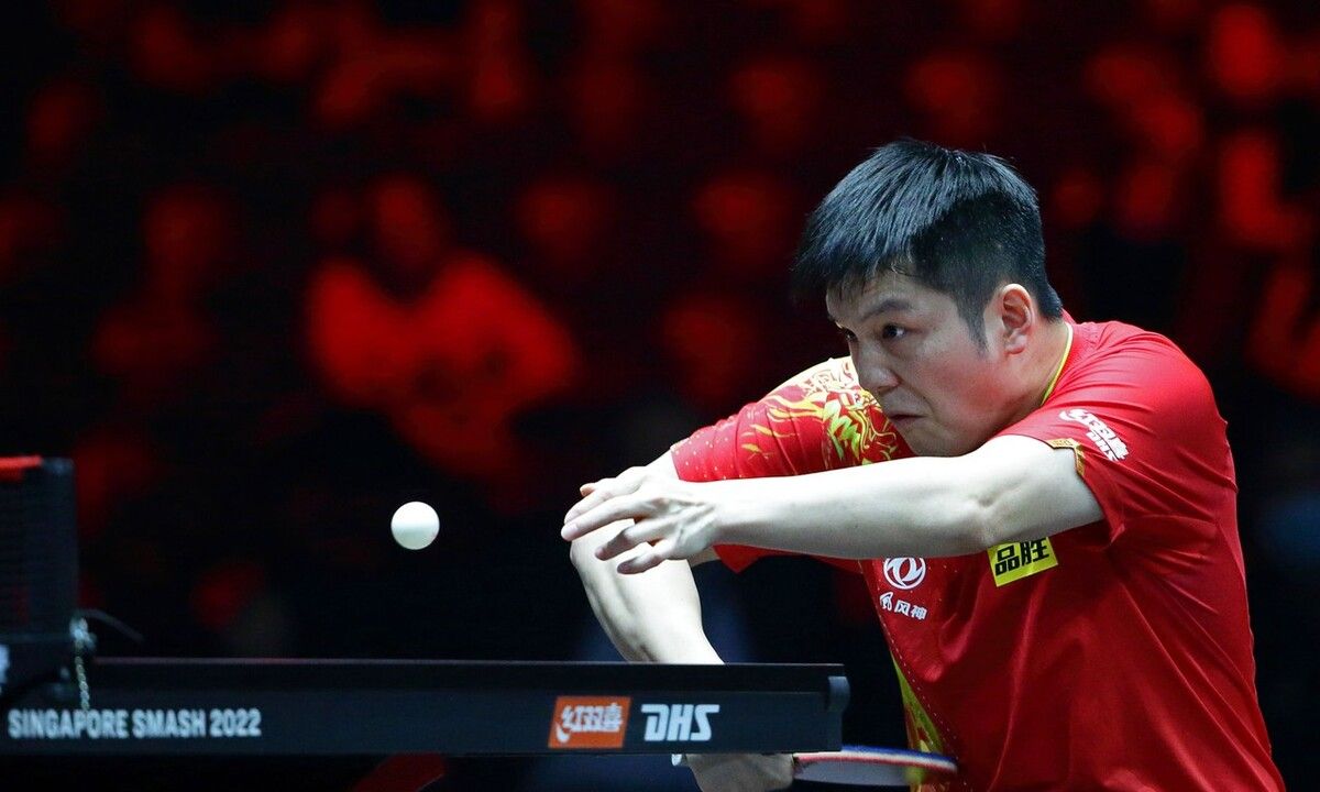 男单决赛对阵今天出炉！樊振东迎战日本独苗，WTT更改比赛规则休闲区蓝鸢梦想 - Www.slyday.coM