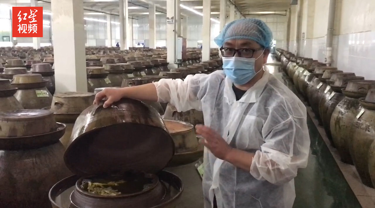 实地探访四川老坛酸菜加工厂:土坑绝迹,全程标准化车间