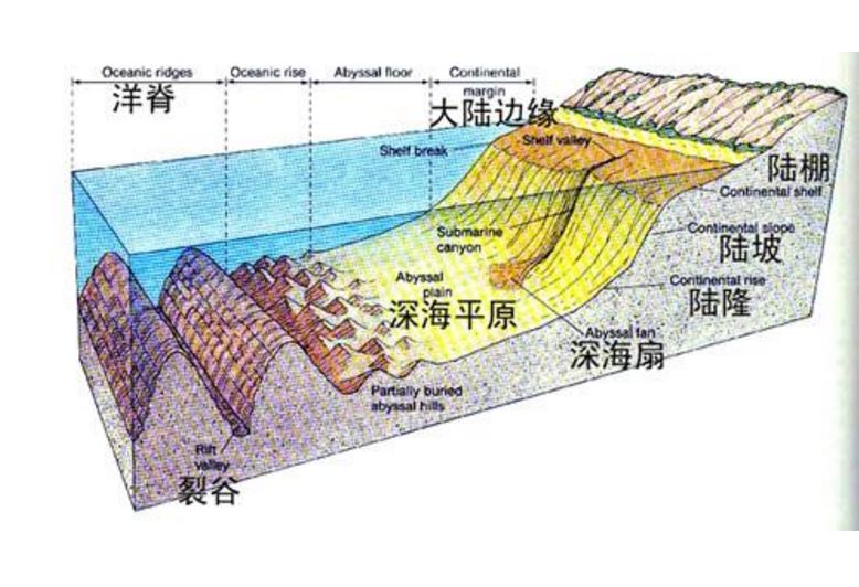 史前文明真的存在吗1800米海底的建筑物到底是个啥