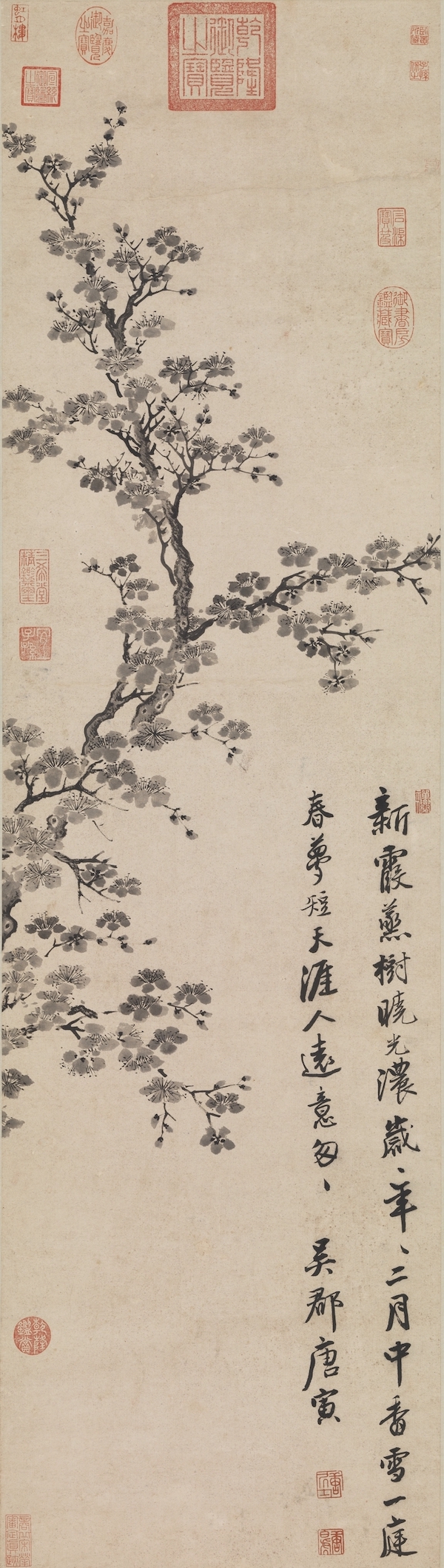 故宫花信杏花鹧鸪声里雨丝斜开遍千花与万花