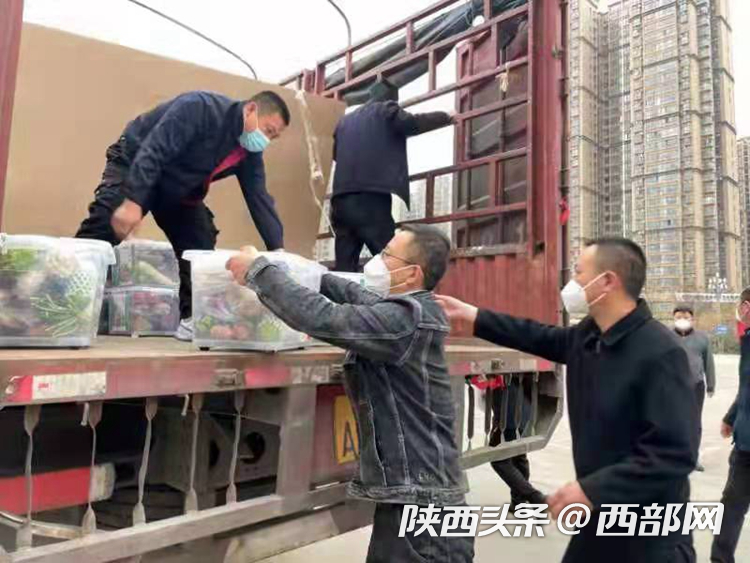 全民同心 共防疫情 陕西交控集团向宝鸡交通一线防疫人员捐赠物资休闲区蓝鸢梦想 - Www.slyday.coM