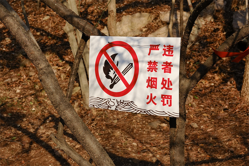 贵阳人气温回暖春光好森林防火意识不能少