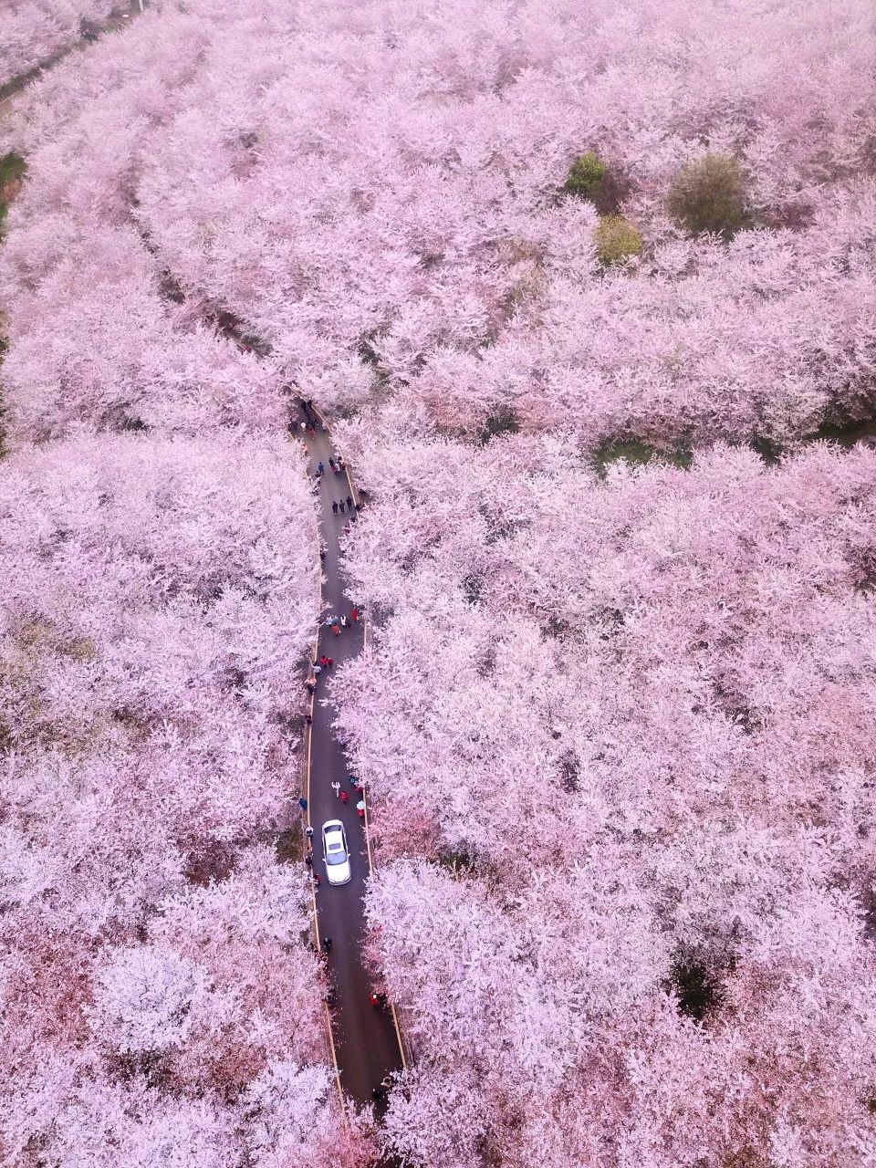 三月春雨霏霏