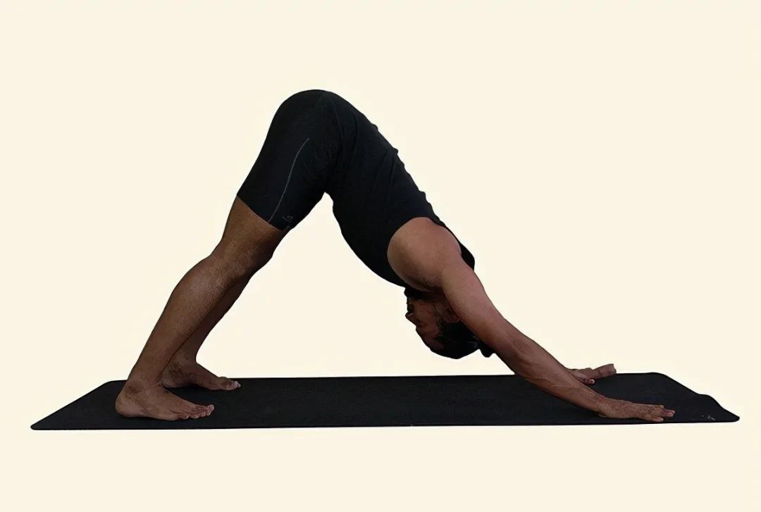 拜日式a瑜伽入门经典最适合初学者