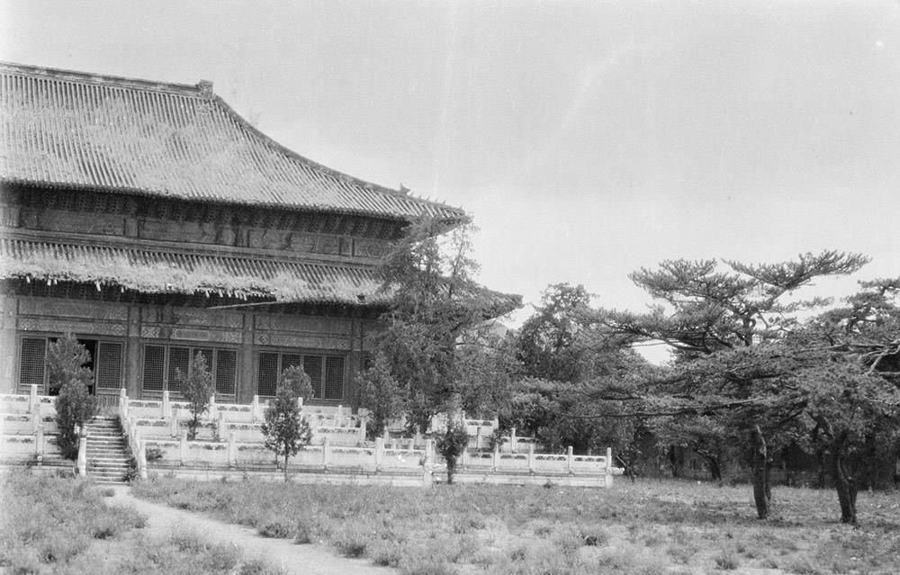 民初老照片明十三陵破败不堪朱元璋后裔盗伐树木盗挖妃墓