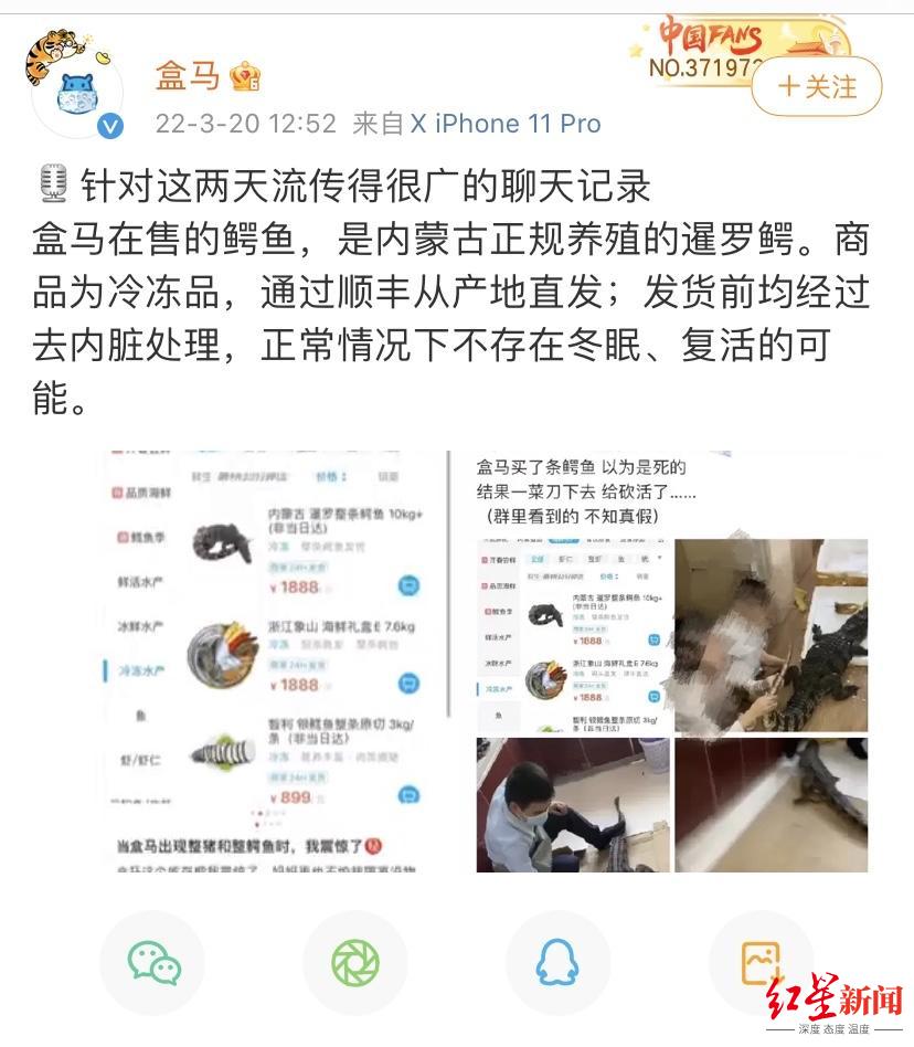 视频疯传“网购鳄鱼竟复活”？盒马回应：视频中鳄鱼规格不符，初步判断非盒马所售休闲区蓝鸢梦想 - Www.slyday.coM