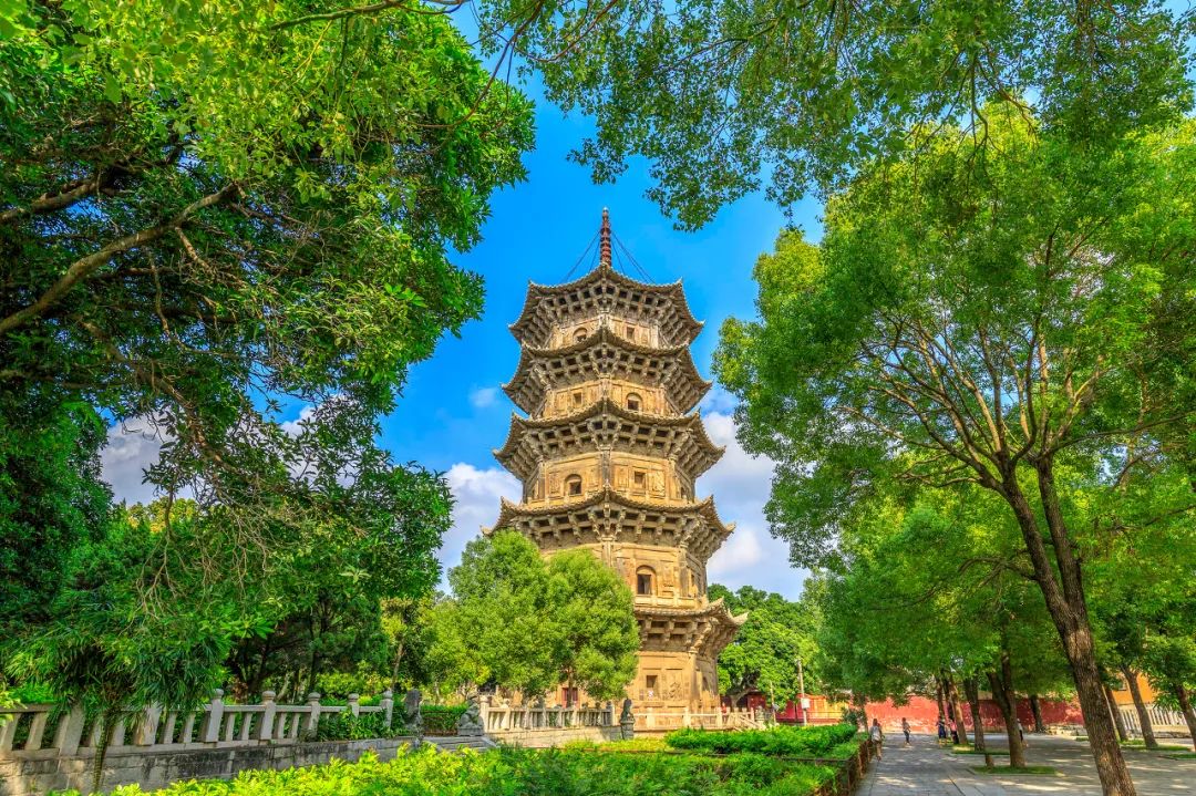 寺内那颗树龄高达800岁的“仙树”