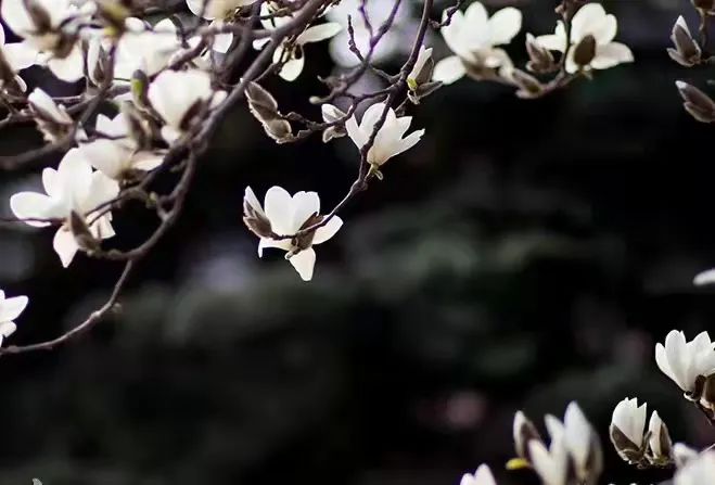 今日春分！春暖花开，这些关于春天的知识讲给孩子听吧休闲区蓝鸢梦想 - Www.slyday.coM