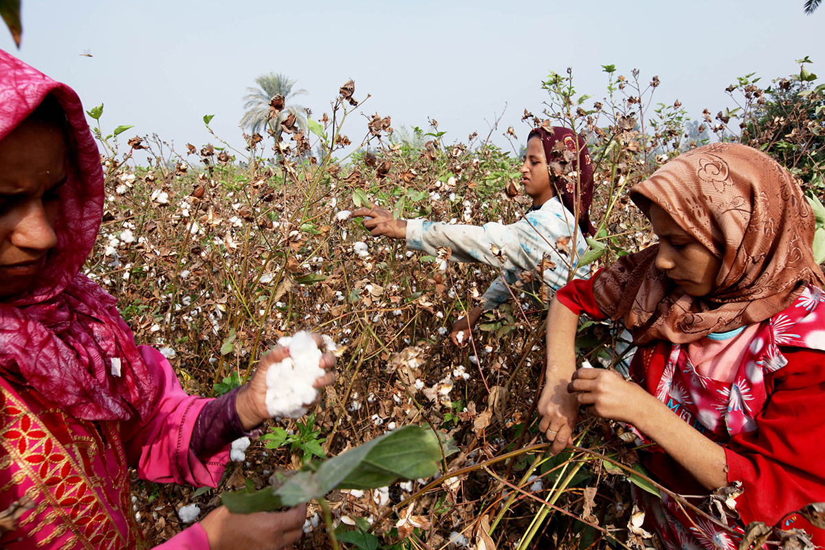 阿拉伯起义丨威权政治,经济自由化,与2011起义的根源|埃及|起义