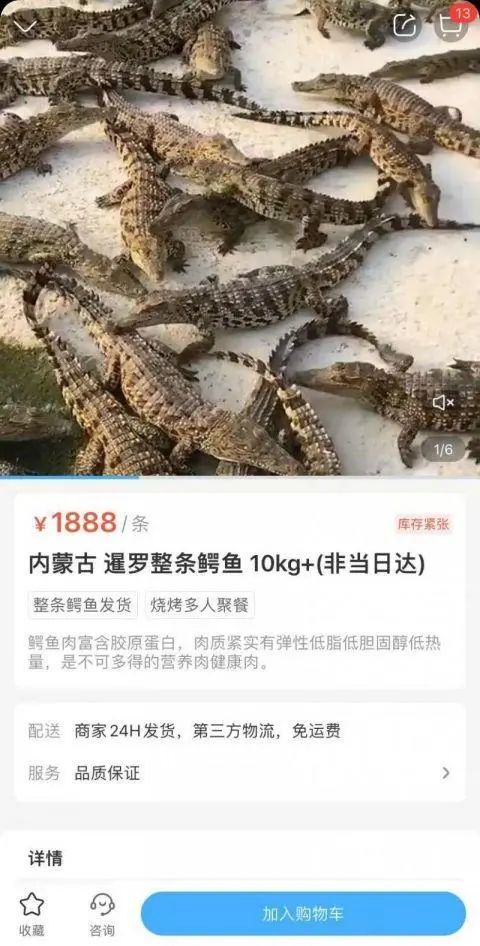 惊呆 鳄鱼买回家 被砍一刀居然复活了 盒马这么说 买鳄鱼合法吗 新浪财经 新浪网