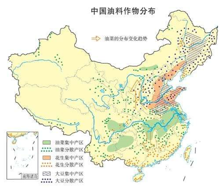 糧食作物主要是水稻▲我國小麥,水稻分佈示意圖⑤農業方面秦嶺-淮河以