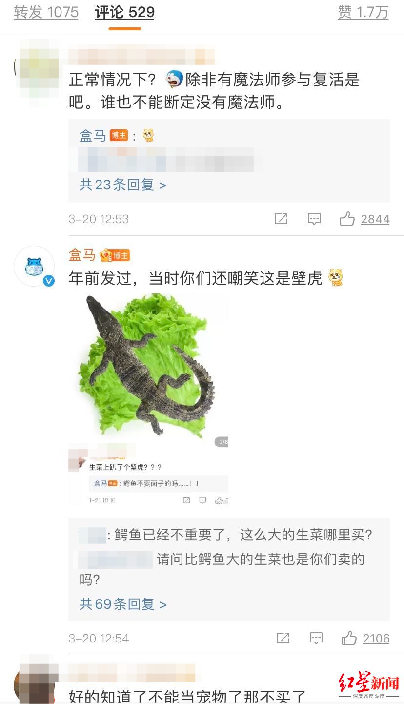 视频疯传“网购鳄鱼竟复活”？盒马回应：视频中鳄鱼规格不符，初步判断非盒马所售休闲区蓝鸢梦想 - Www.slyday.coM