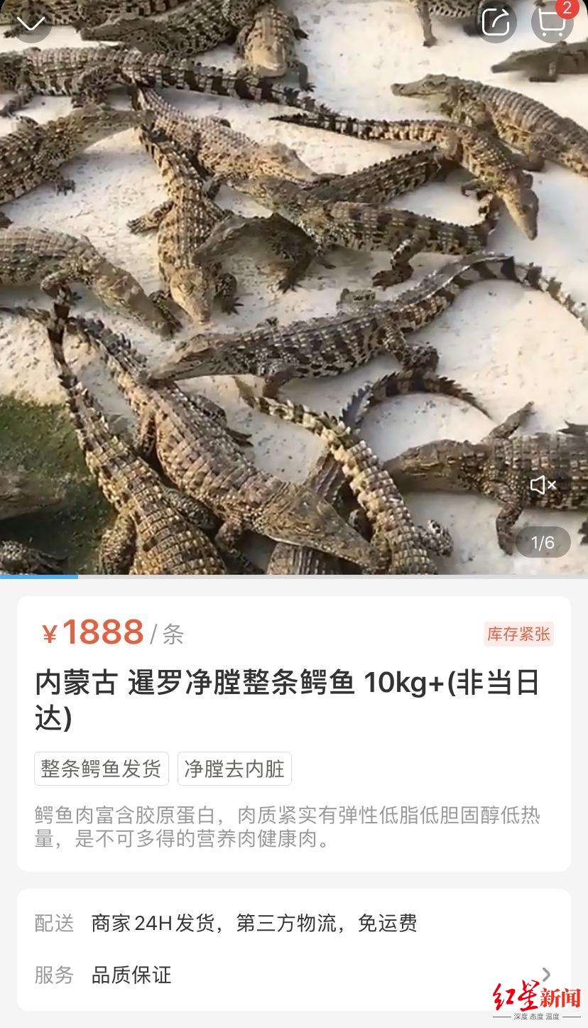 视频疯传“网购鳄鱼竟复活”？盒马回应：视频中鳄鱼规格不符，初步判断非盒马所售休闲区蓝鸢梦想 - Www.slyday.coM