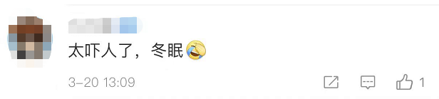 视频吓人！盒马买的鳄鱼被砍后复活了？刚刚，回应来了→休闲区蓝鸢梦想 - Www.slyday.coM