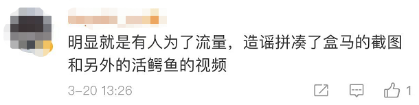 视频吓人！盒马买的鳄鱼被砍后复活了？刚刚，回应来了→休闲区蓝鸢梦想 - Www.slyday.coM