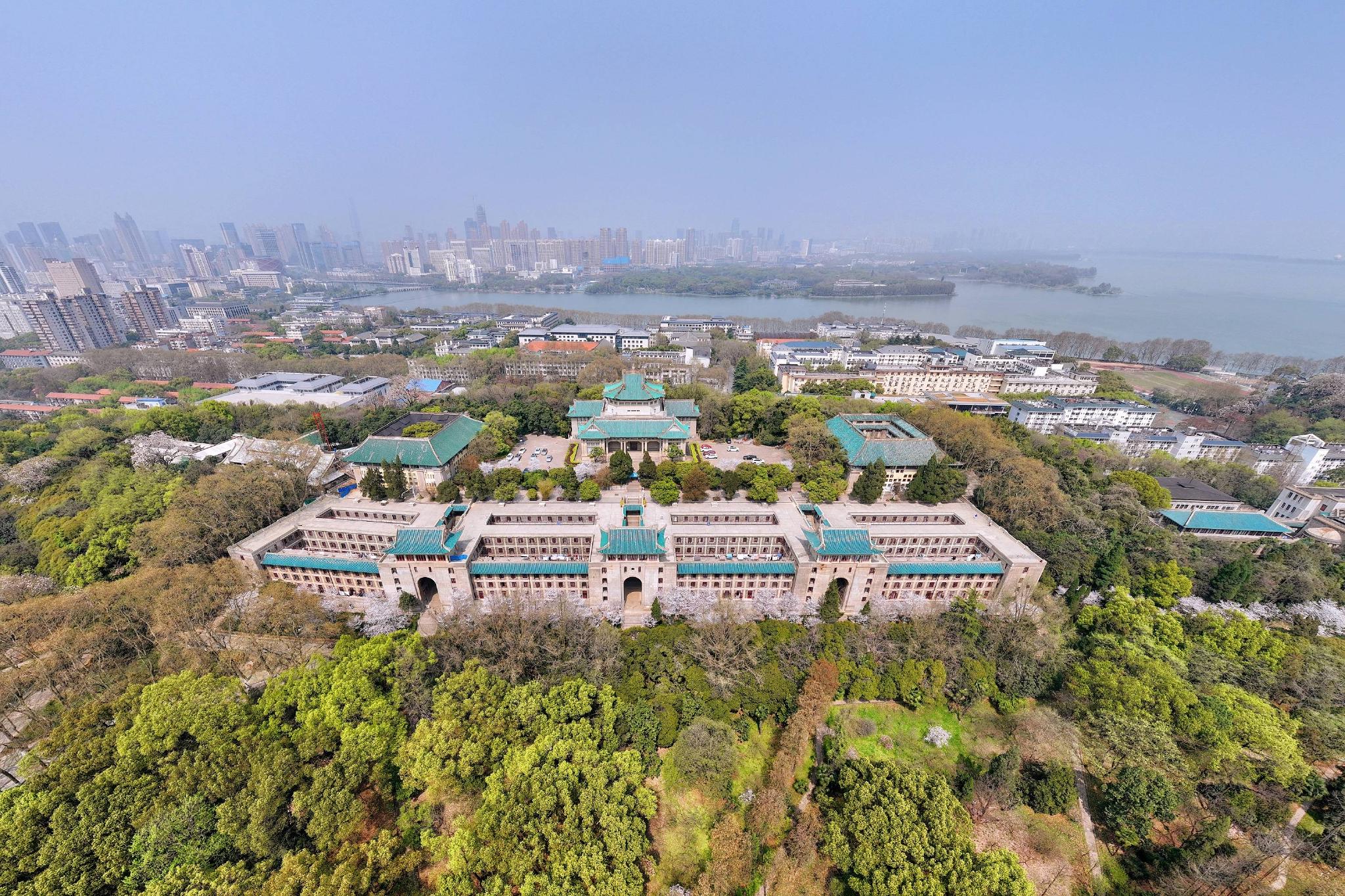 航拍武汉大学樱花季这座百年学府充满静谧和唯美宛如童话世界