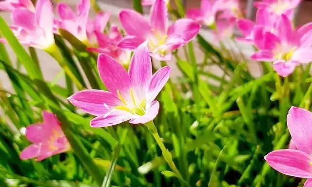 双子座和巨蟹座周运势详解(3月21日休闲区蓝鸢梦想 - Www.slyday.coM 双子座和巨蟹座周运势详解(3月21日休闲区蓝鸢梦想 - Www.slyday.coM