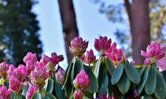 双子座和巨蟹座周运势详解(3月21日休闲区蓝鸢梦想 - Www.slyday.coM 双子座和巨蟹座周运势详解(3月21日休闲区蓝鸢梦想 - Www.slyday.coM