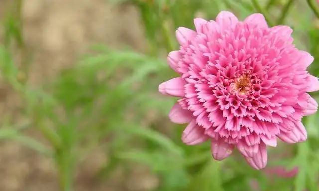 双子座和巨蟹座周运势详解(3月21日休闲区蓝鸢梦想 - Www.slyday.coM 双子座和巨蟹座周运势详解(3月21日休闲区蓝鸢梦想 - Www.slyday.coM