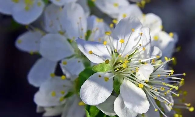 双子座和巨蟹座周运势详解(3月21日休闲区蓝鸢梦想 - Www.slyday.coM 双子座和巨蟹座周运势详解(3月21日休闲区蓝鸢梦想 - Www.slyday.coM