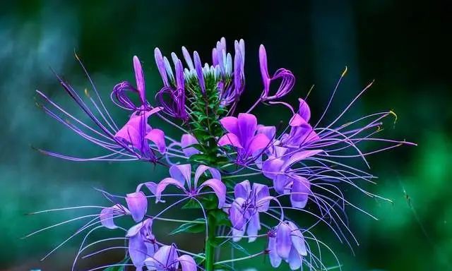 双子座和巨蟹座周运势详解(3月21日休闲区蓝鸢梦想 - Www.slyday.coM 双子座和巨蟹座周运势详解(3月21日休闲区蓝鸢梦想 - Www.slyday.coM