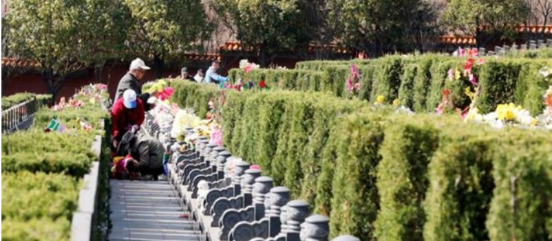 清明节祭祖有规矩,一家坟不烧两次纸,你知道是为什么吗休闲区蓝鸢梦想 - Www.slyday.coM 清明节祭祖有规矩,一家坟不烧两次纸,你知道是为什么吗休闲区蓝鸢梦想 - Www.slyday.coM