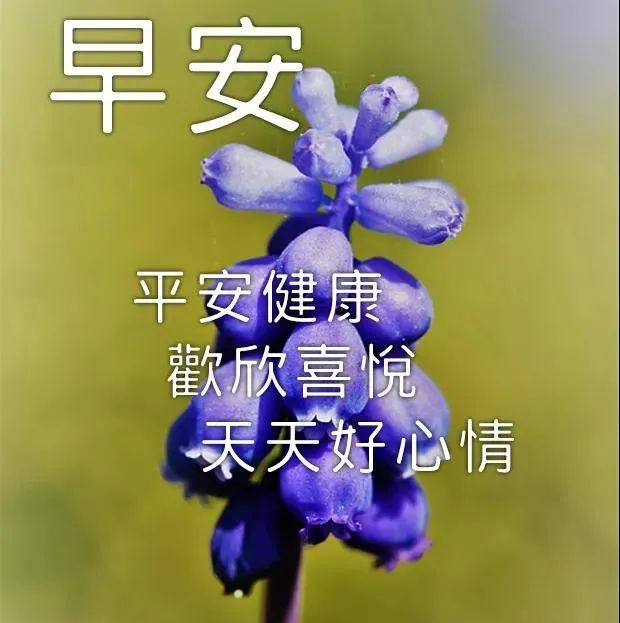 很好看的早安问候祝福动态图片大全,早安图片大全最新-质信十强榜