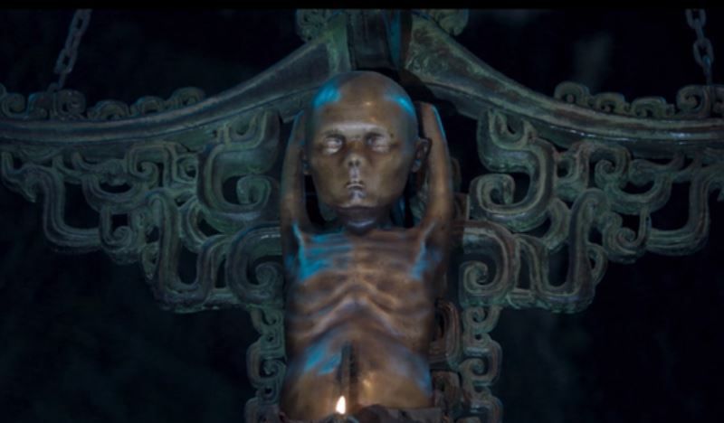 云南虫谷献王墓三世棺有什么昆虫是怎么来的