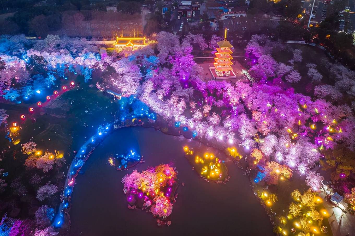 武汉东湖樱花园,樱花盛开,如梦似幻,吸引了众多游客参观游览休闲区蓝鸢梦想 - Www.slyday.coM 武汉东湖樱花园,樱花盛开,如梦似幻,吸引了众多游客参观游览休闲区蓝鸢梦想 - Www.slyday.coM