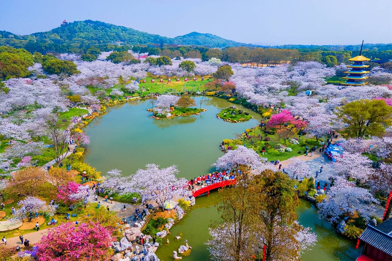 武汉东湖樱花园,樱花盛开,如梦似幻,吸引了众多游客参观游览休闲区蓝鸢梦想 - Www.slyday.coM 武汉东湖樱花园,樱花盛开,如梦似幻,吸引了众多游客参观游览休闲区蓝鸢梦想 - Www.slyday.coM